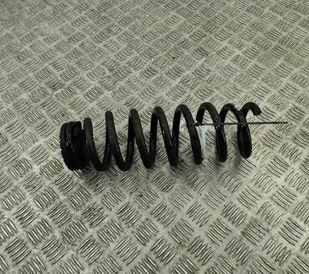 BYD Atto 3 Rear coil spring