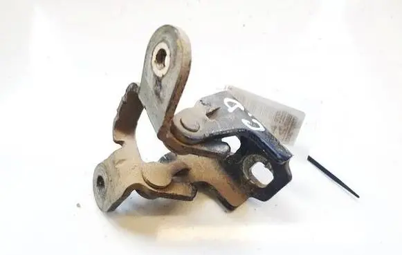 Dodge Journey Rear door lower hinge