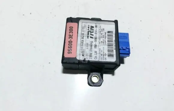 KIA Sorento Other control units/modules 956003e300