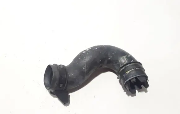 Renault Zoe Air intake duct part 290967479R