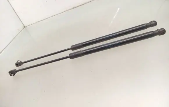 Tailgate/trunk strut/damper