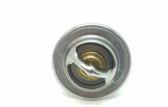 Ligier X-TOO Thermostat 9195124 811200