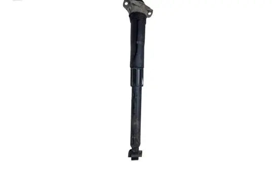 Volkswagen Tiguan Rear shock absorber/damper 5QF513049T