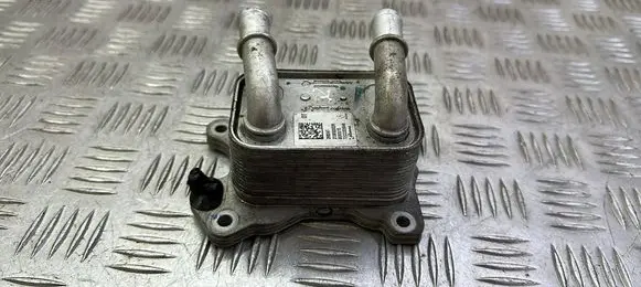 Nissan Qashqai Engine oil radiator 213052032R