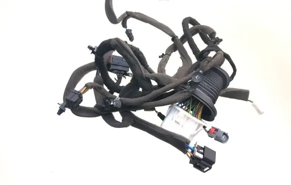 Chevrolet Captiva Front door wiring loom 95083464