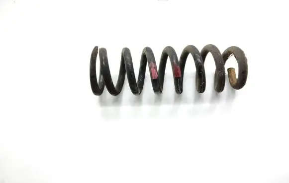 Front coil spring