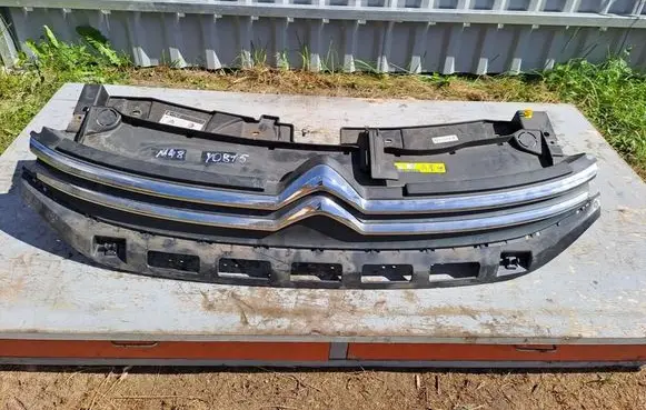 Citroen C3 Front grill 9812063477