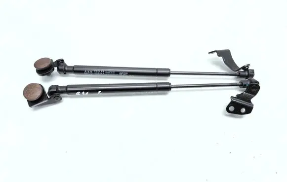 Chevrolet Captiva Rear window strut damper 82553891300