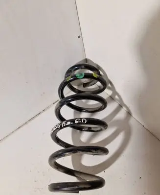 Rear coil spring
