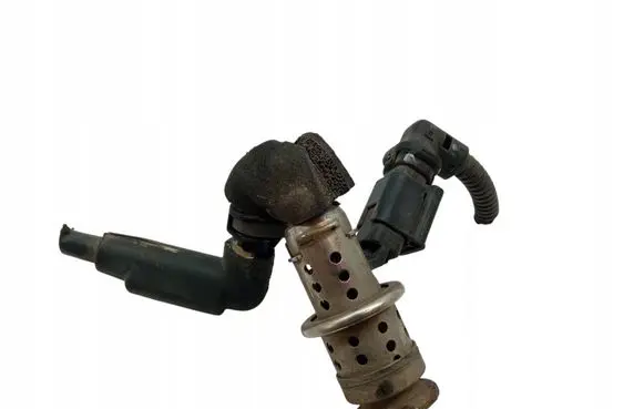 Citroen C3 Fuel injector