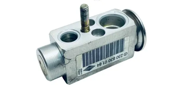 Mercedes-Benz S W220 Air conditioning (A/C) expansion valve A2308300184