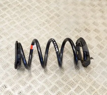 Tesla Model 3 Rear coil spring 104447201E