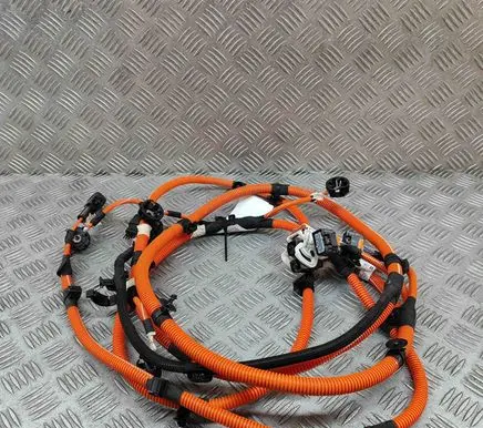 Citroen C4 II Other wiring loom 9841284180