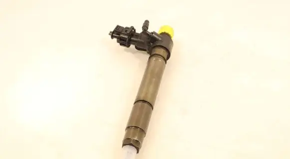 Peugeot 407 Fuel injector 0445115025
