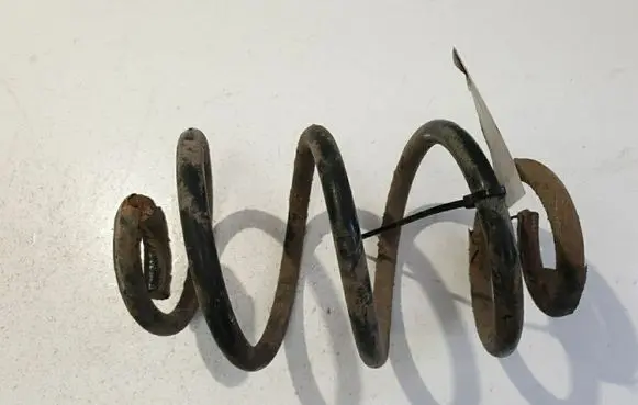 Rear coil spring