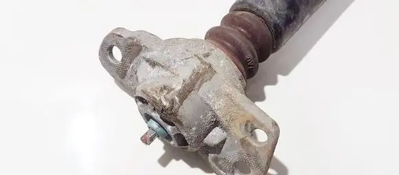 Coil spring mount