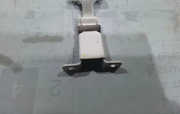 Renault Kangoo II Front door lower hinge KU3674A