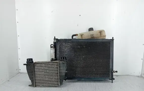 Renault Clio III Coolant radiator