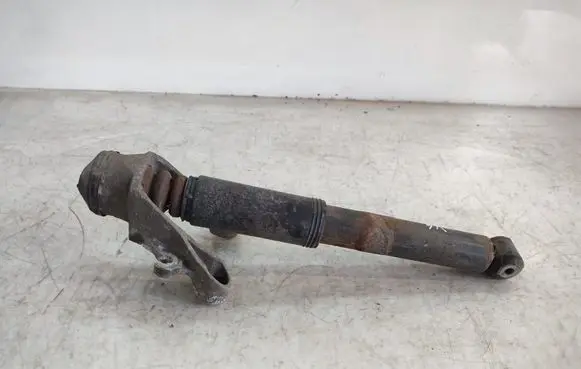 Rear shock absorber/damper
