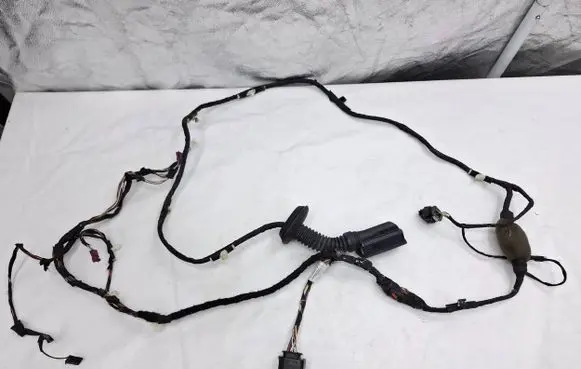 BMW 5 G30 G31 Front door wiring loom 11107810 0002975378 4230109