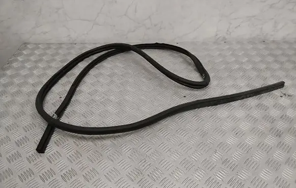 Nissan Leaf II (ZE1) Front door rubber seal 