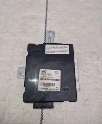 KIA Sorento Other control units/modules 954003e210
