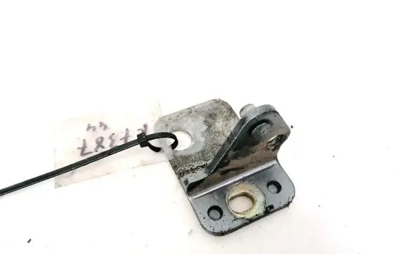 Porsche Cayenne (9PA) Rear door lower hinge