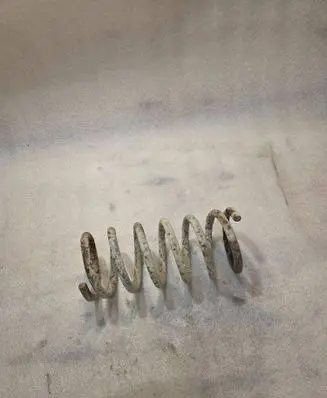 Rear coil spring