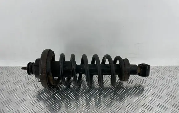 Ford Explorer Rear shock absorber with coil spring 6L245534 Q48PA A20625