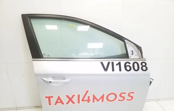 Hyundai Ioniq Front door