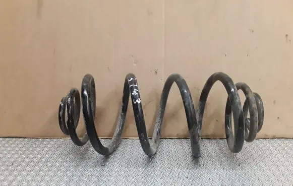 Rear coil spring
