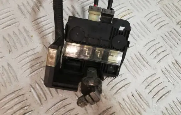 Opel Mokka Negative earth cable (battery) 1504110095 130032160094 B1938C1908