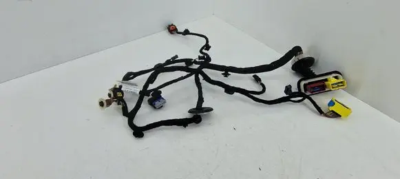 Peugeot 308 Front door wiring loom 9807916980