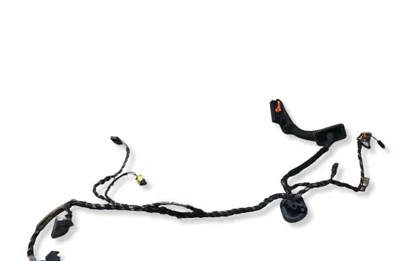 Volkswagen PASSAT CC Front door wiring loom 016297BG 230109