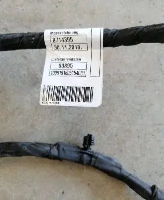 BMW 1 F40 Front door wiring loom 12493110 8714406 N5N228A
