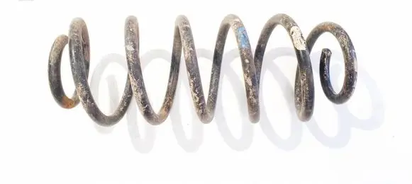 Rear coil spring