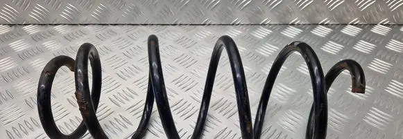 Volkswagen Golf V Front coil spring 