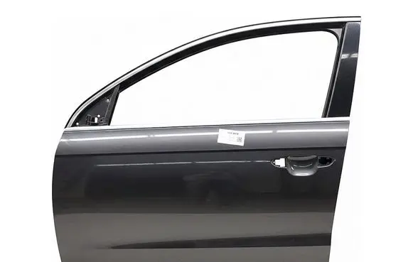 Volkswagen PASSAT B7 Front door LB8R