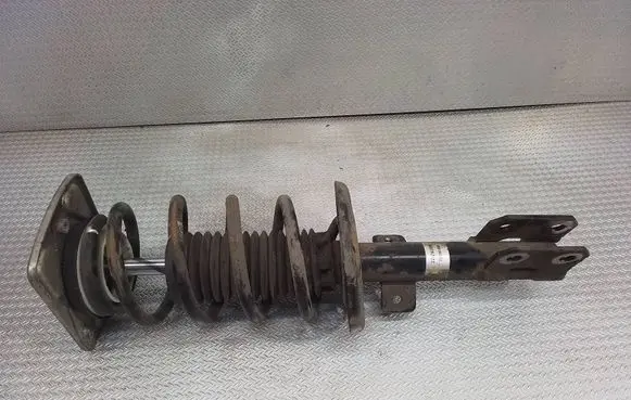 Toyota Proace Front shock absorber with coil spring 22291899 319556
