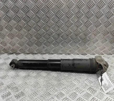 Skoda Enyaq iV Rear shock absorber/damper 1EA512013AG