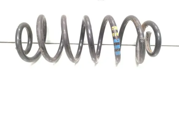 Rear coil spring