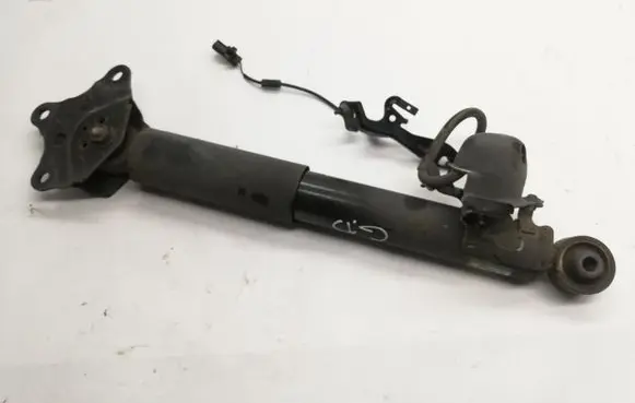 Lexus RX 450H Rear shock absorber/damper 4853048400