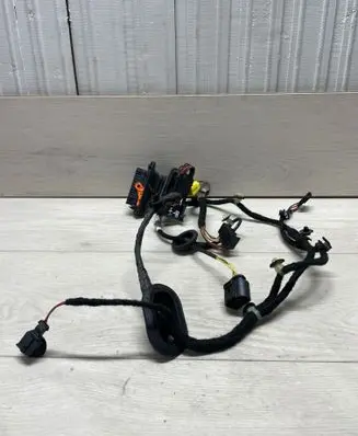 Volkswagen PASSAT B7 Rear door wiring loom 3C0971615 KZ02