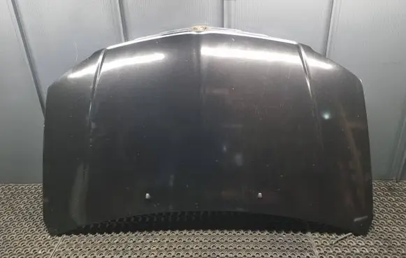 Engine bonnet/hood