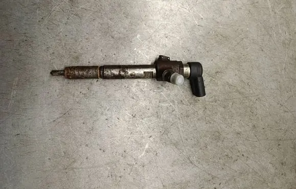 Renault Megane II Fuel injector H8200294788