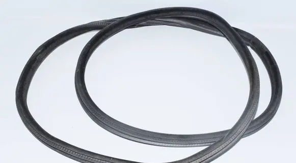 BMW X6 F16 Rubber seal rear door 7317822