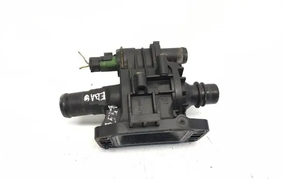 Thermostat/thermostat housing
