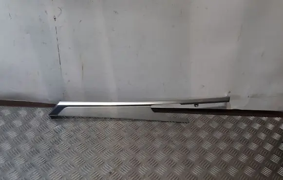 Porsche Panamera (970) Other rear door trim element 970555384