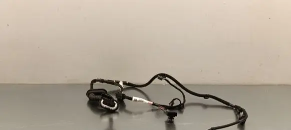 Tesla Model 3 Highland Rear door wiring loom 189732300B