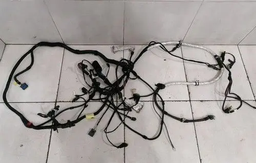 Ferrari F430 Front door wiring loom/harness boot